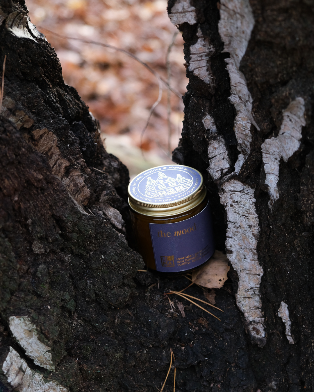 
                  
                    LIMA Adventskerze The Mood,  perfekt für ruhige Winterrituale.
                  
                