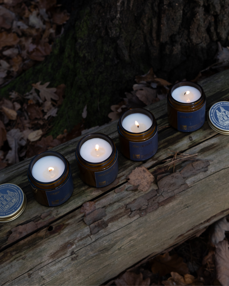 
                  
                    Duftkerzen aus Sojawachs für den Advent
                  
                