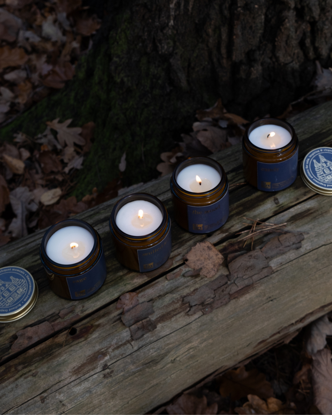 
                  
                    Duftkerzen aus Sojawachs für den Advent
                  
                