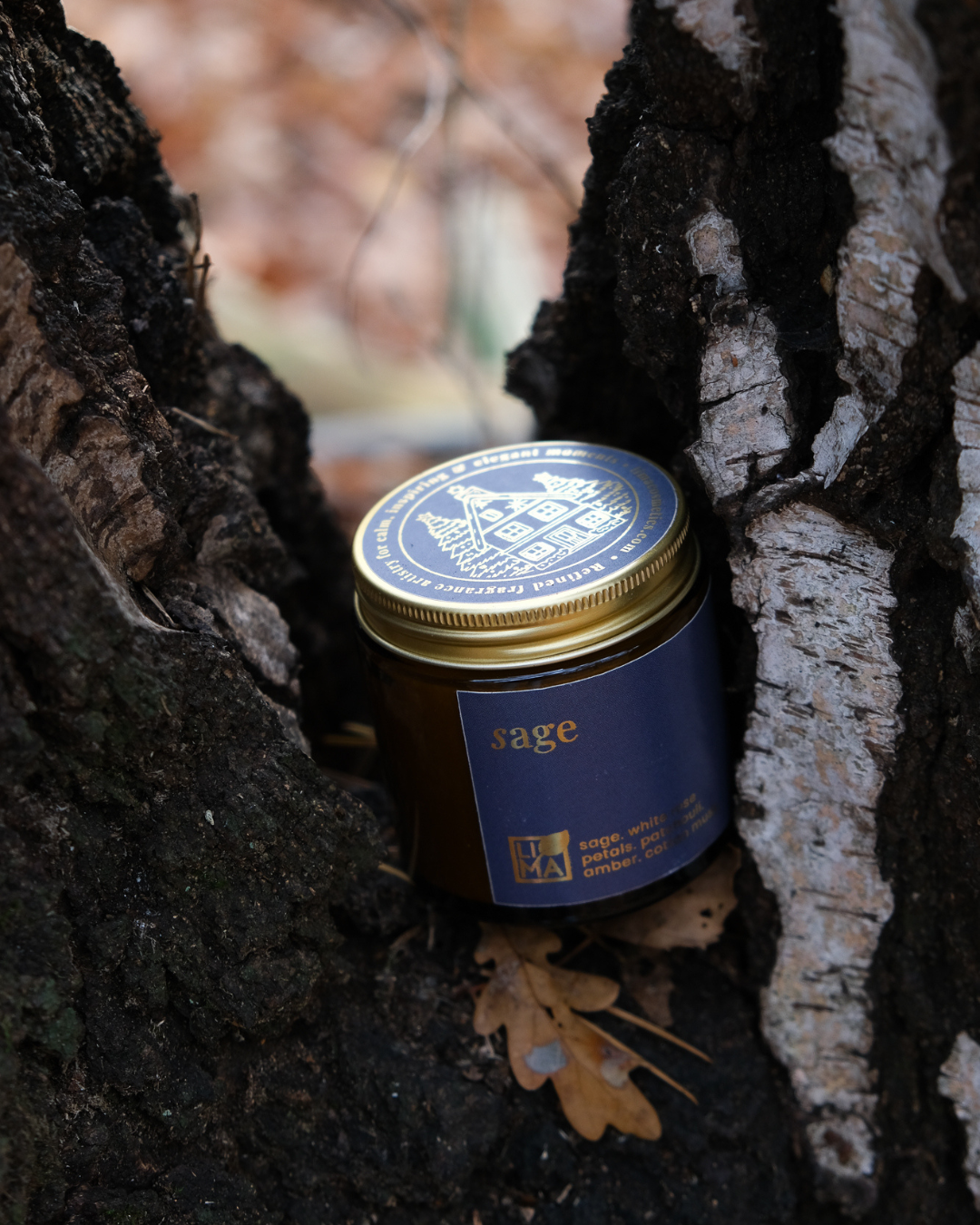 
                  
                    LIMA Sage Adventskerze, fotografiert in einer ruhigen, minimalistischen Winterstimmung.
                  
                