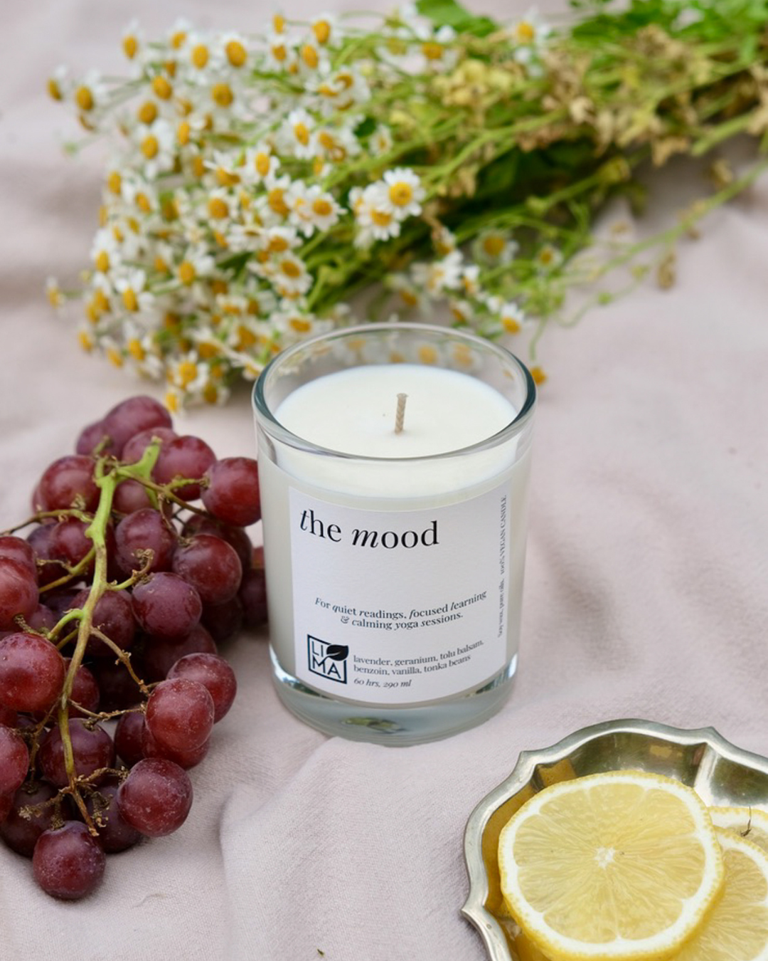 
                  
                    Große the mood Kerze inmitten Trauben und Zitronenscheiben
                  
                