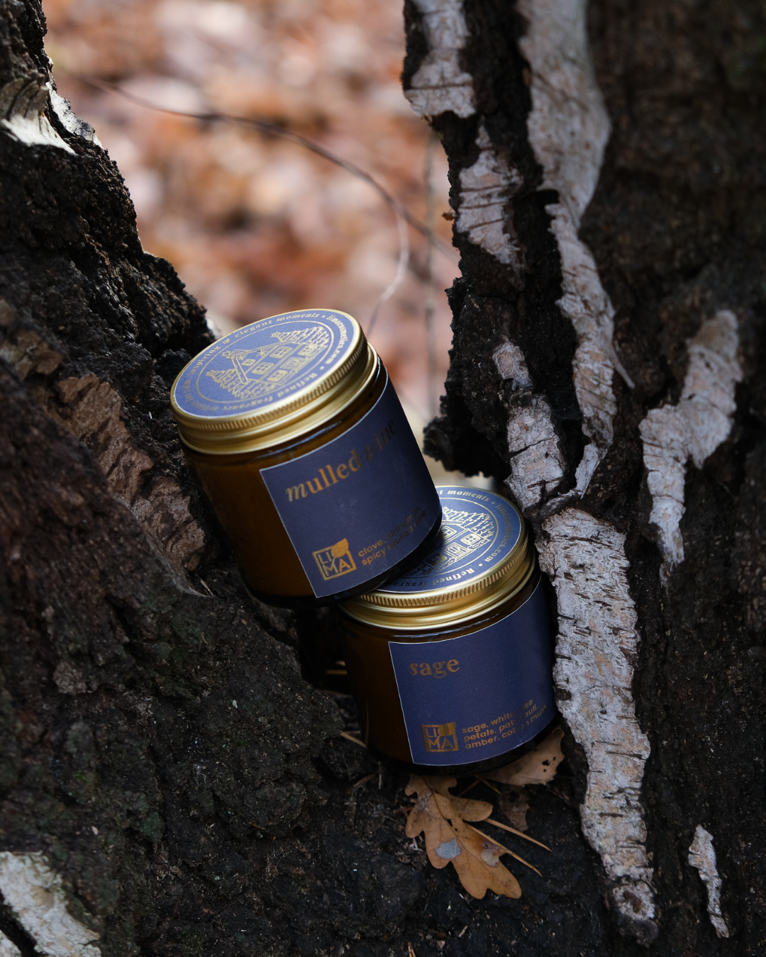 
                  
                    Mulled Wine Adventskerze aus Sojawachs im bernsteinfarbenen Glas mit warmem Glühweinduft.
                  
                